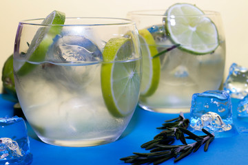 Gin Tonic cocktail with ingredients, lemon, lime, rosemary and ice.