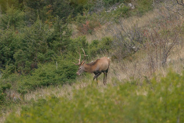 abruzzo
