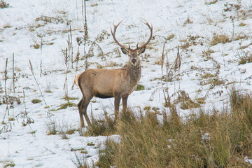 abruzzo