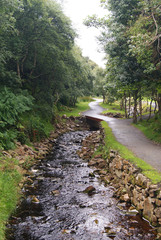Glenevin Waterfall Park - Irland