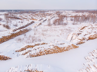 Log storage forest, winter logging, sawmill. Top view, aerial.