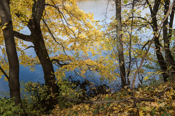 Fototapeta premium Ландшафт