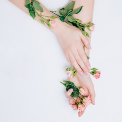 Art photo fashion female hands on white background touch flower, skin care concept, spa rejuvenation, oil from eco nature.