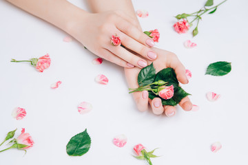 Naklejka na ściany i meble Close-up beautiful sophisticated female hands with pink flowers on white background. Concept hand care, cream, spa.