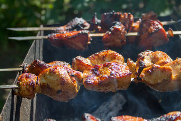 GRILL FROM FRESH OF JUNNY APPETITE MEAT OF CHICKEN