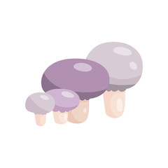 Beautiful fresh mushroom of unusual shape. Colored mushroom for cooking mushroom soup and other dishes.