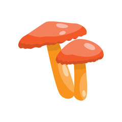 Beautiful fresh mushroom of unusual shape. Colored mushroom for cooking mushroom soup and other dishes.