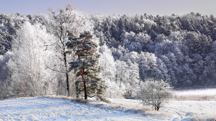 A cold and snowy winter in Poland in Warmia