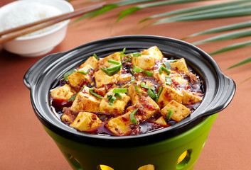 Delicious Chinese cuisine, Mapo Tofu