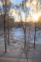 Naklejka na ściany i meble Winter Morning