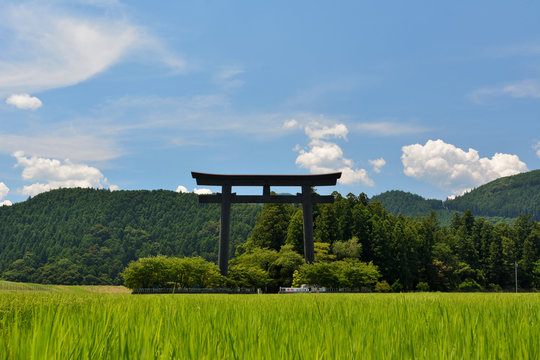 guard frame at the entrance to a Shinto shrine, rice field, blue sky - Kumano Hongu, Japan : 奉祝 記念行事12月迄斎行中-celebration is being held until December