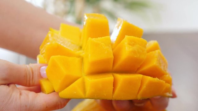 Woman showing half cutted cubes slices ripe mango