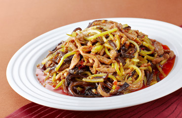 Delicious Chinese cuisine, fish-flavored pork