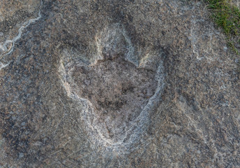 The footprints of dinosaur on a stone
