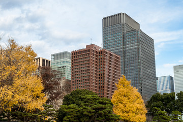 冬の東京大手町　高層ビル群と公園４ © onotorono