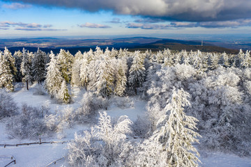 Aerial view, snowy trees from above in winter, Taunus, Hesse, Germany