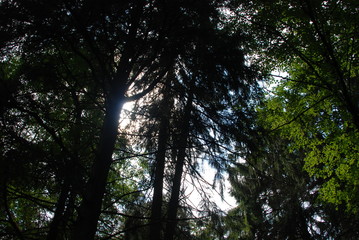 Fototapeta premium Ландшафт