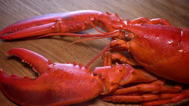 Hot smoking Boiled Lobster 