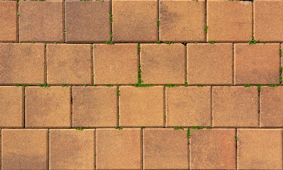 pattern of terracotta paving slabs with grass in joints