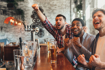 Men watching football and celebrating victory in sport bar