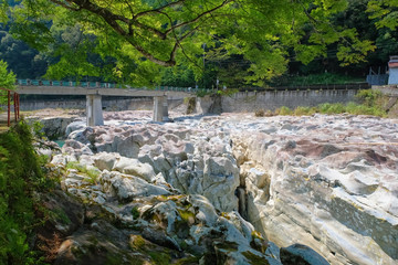 古座川町 滝の拝