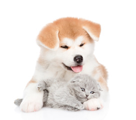 Akita inu puppy embracing sleepy kitten. isolated on white background