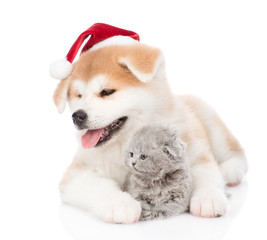 Akita inu puppy in red christmas hat hugging baby kitten. isolated on white background