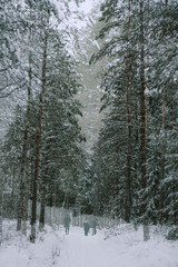 People in snow forest