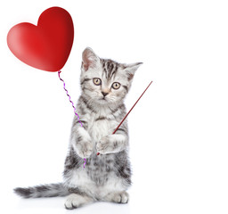 Kitten holding a heart shaped balloon and pointing on empty space. isolated on white background