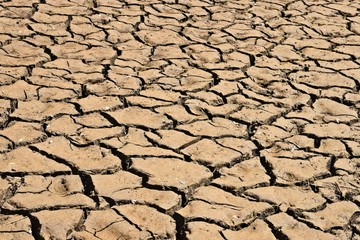 Dry cracked river bed. Drought concept image. 