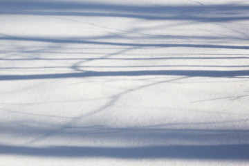 Fototapeta na wymiar Snow texture with perspective or winter white background
