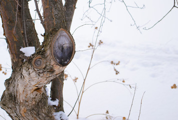 wooden beautiful object