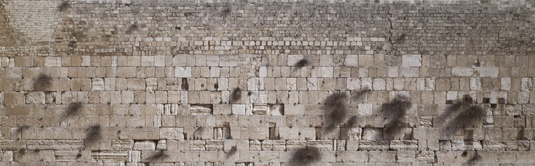 Western Wall, old city of Jerusalem, Israel - panoramic view