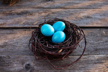 Colorful Easter egg in the nest on wooden background