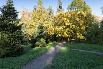 Obraz premium The path in the park with yellow and green trees on a sunny autumn day. Autumn landscape.