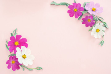 Flowers composition. colorful flowers on pink background