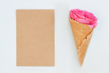 Pink rose flowers, gift box or present and paper card