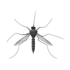 Vector illustration of insect and fly icon. Set of insect and element vector icon for stock.