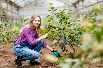 happy blond girl is sitting near the bush and looking at the camera. copy space. happiness,...