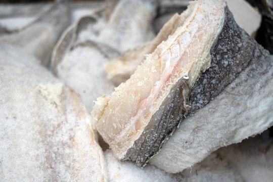 รูปภาพStockfish – เลือกดูภาพถ่ายสต็อก เวกเตอร์ และวิดีโอ19,529 | Adobe ...
