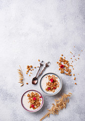 Fototapeta na wymiar Granola with yogurt and dried raspberries