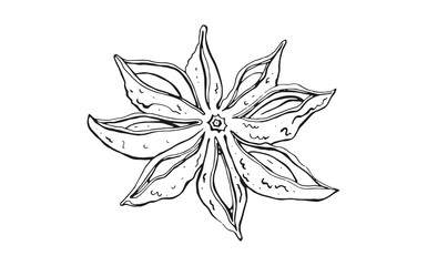 Spices set of linear icons. Vector image