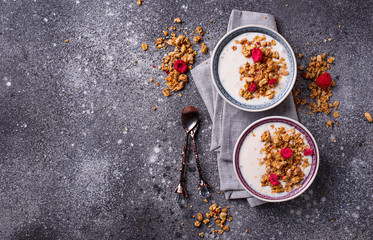 Granola with yogurt and dried raspberries