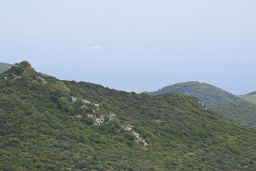 Tarifa