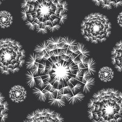 Vector illustration seamless pattern with dandelion