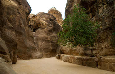 Travelling to Petra in Jordan