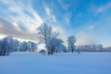 Obraz premium Winter landscape. Cold day.