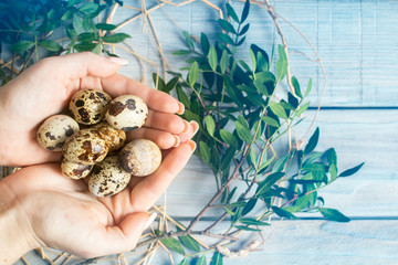 A woman holds organic eggs. Close up. Toned picture. Quail eggs on light wooden background. Spring and Easter holiday concept with copy space.