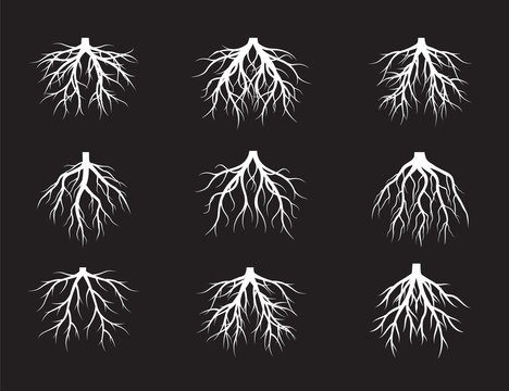 Set of White Roots Tree on black background. Vector Illustration.