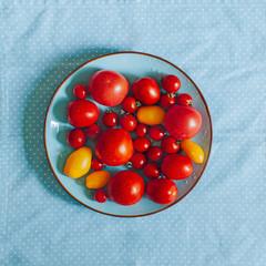 Plate of fresh ripe tomatoes on blue polka dot background